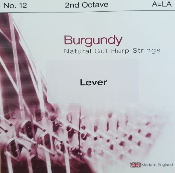 Burgundy Lever Gut 2A