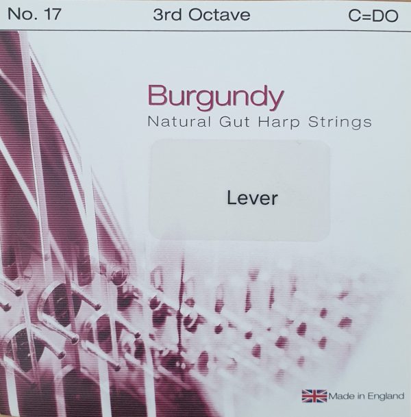 Burgundy Lever Gut 3C