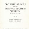 Orchesterstudien Strauss J./ Holy A.