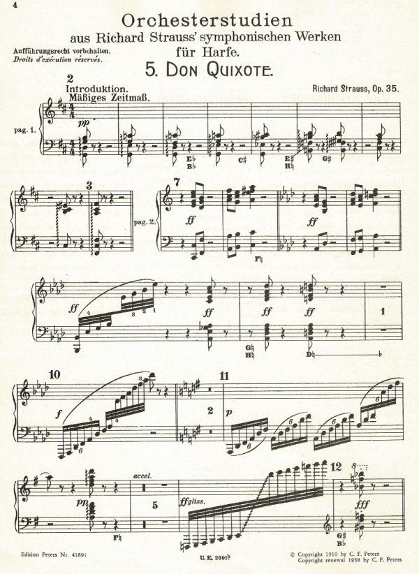 Orchesterstudien Strauss J./ Holy A.