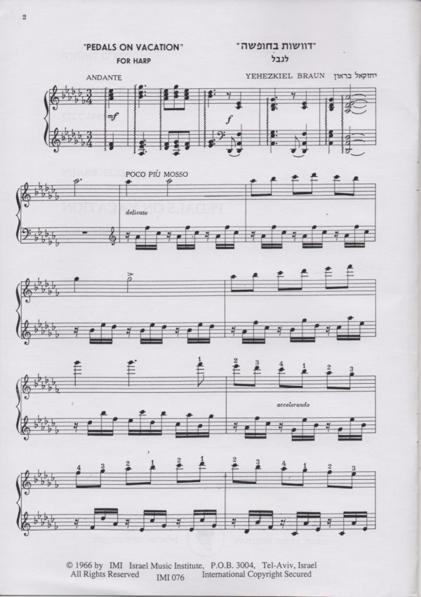 Pedals On Vacation Braun Y.