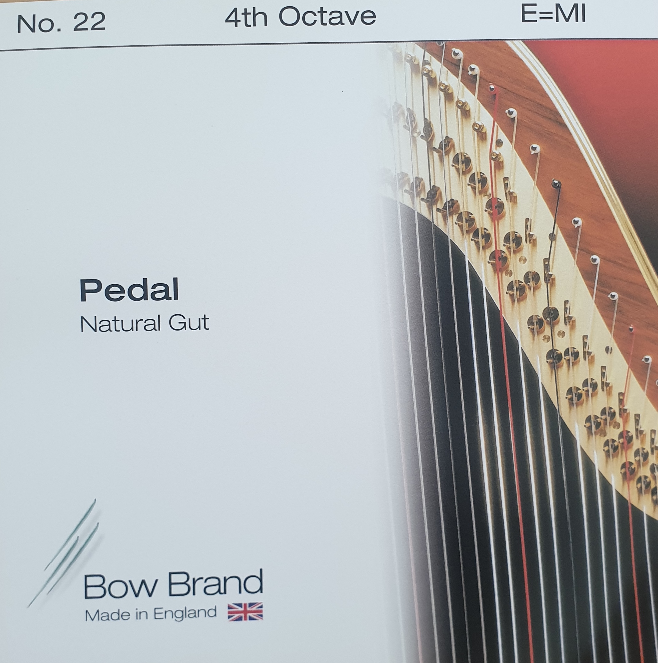 Bow-Pedal-Gut-4e BOW BRAND Pedal Gut 4E