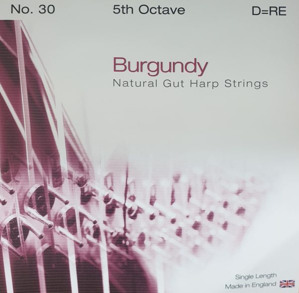 BURGUNDY Pedal Gut 5D