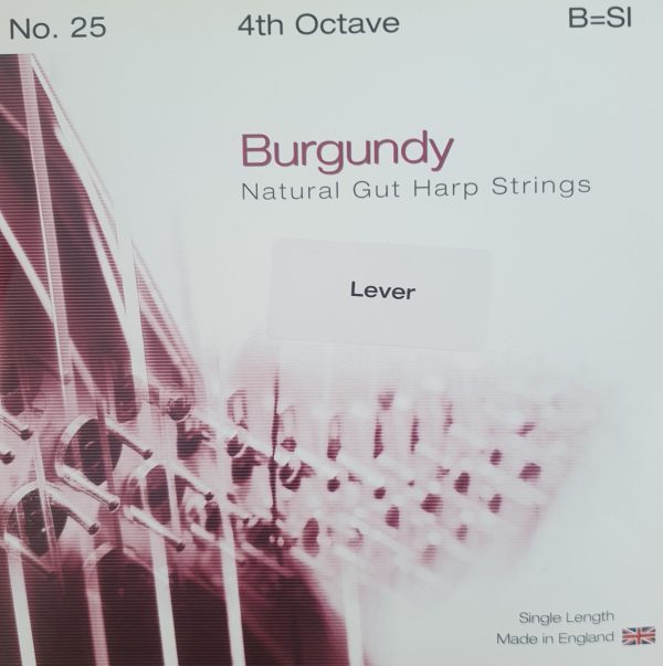 BURGUNDY Lever Gut 4B