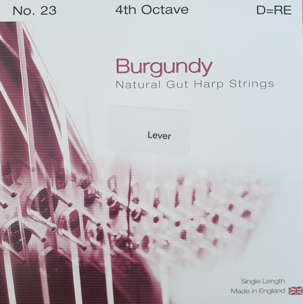 BURGUNDY Lever Gut 4D