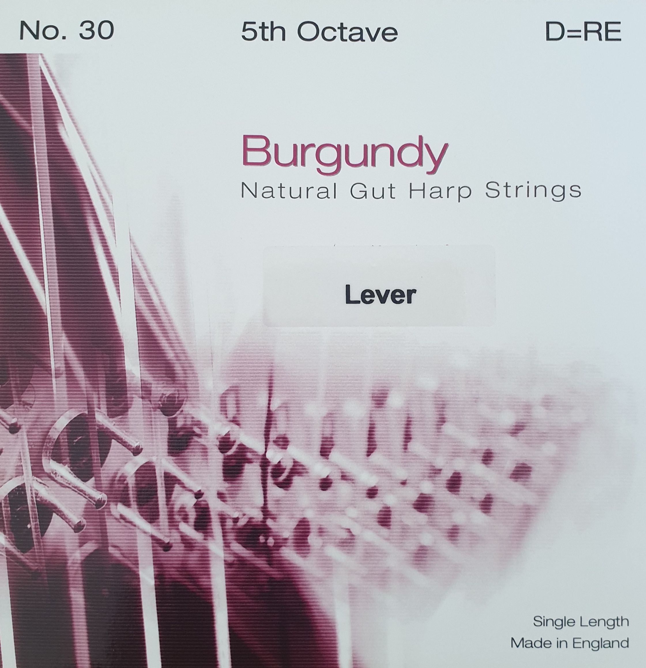 Burgundy-Lever-Gut-5D BURGUNDY Lever Gut 5D