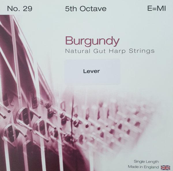 BURGUNDY Lever Gut 5E