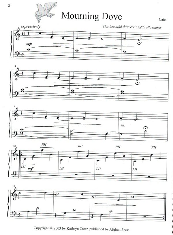 Soaring Strings Cater K.