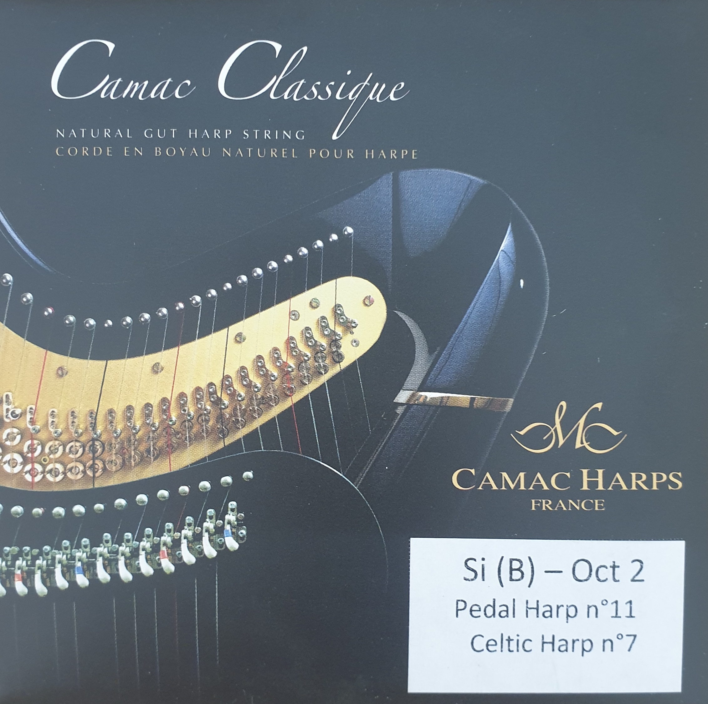 Camac-Pedal-Gut-2B CAMAC Pedal Gut 2B