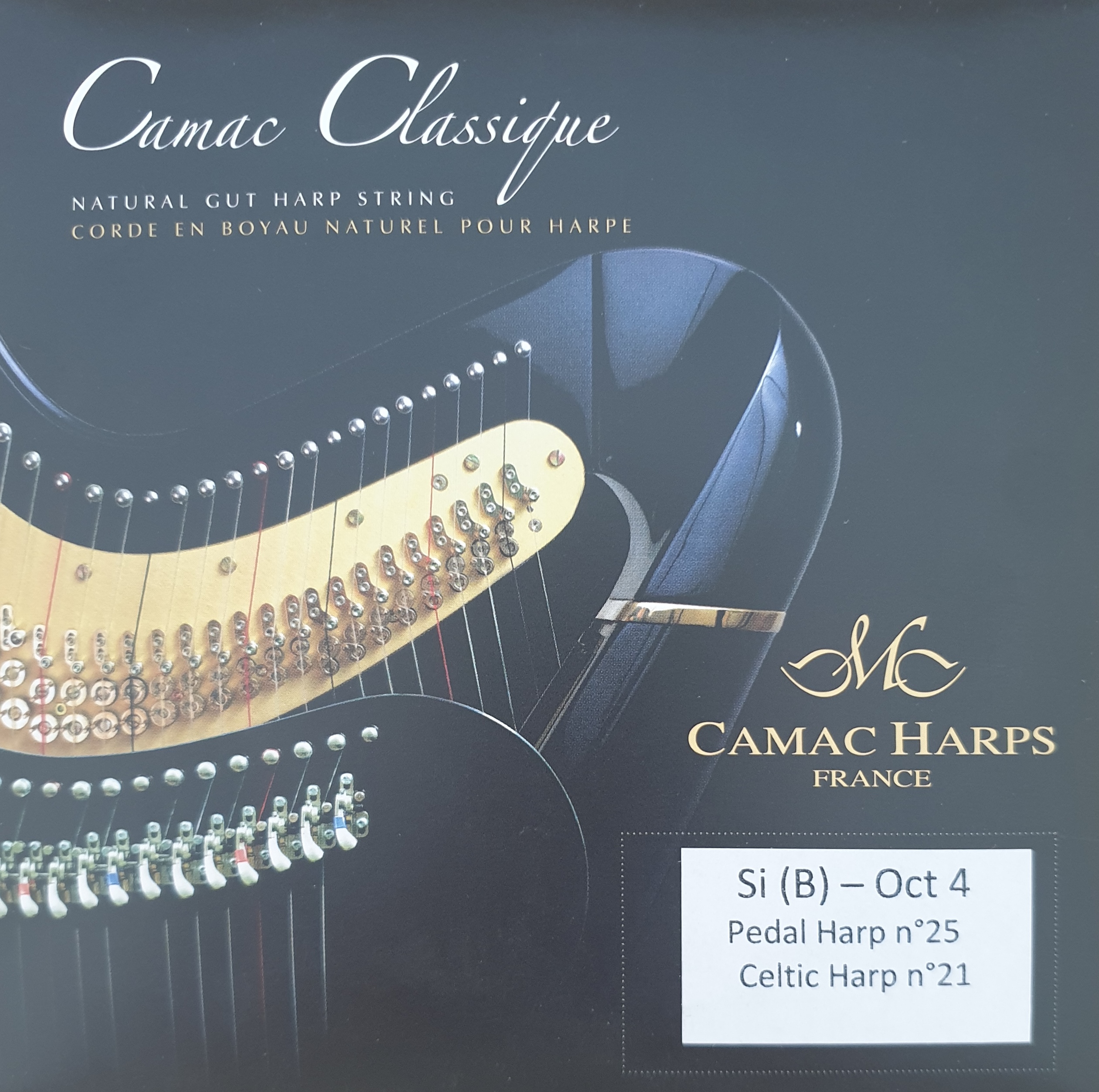 Camac-Pedal-Gut-4B CAMAC Pedal Gut 4B