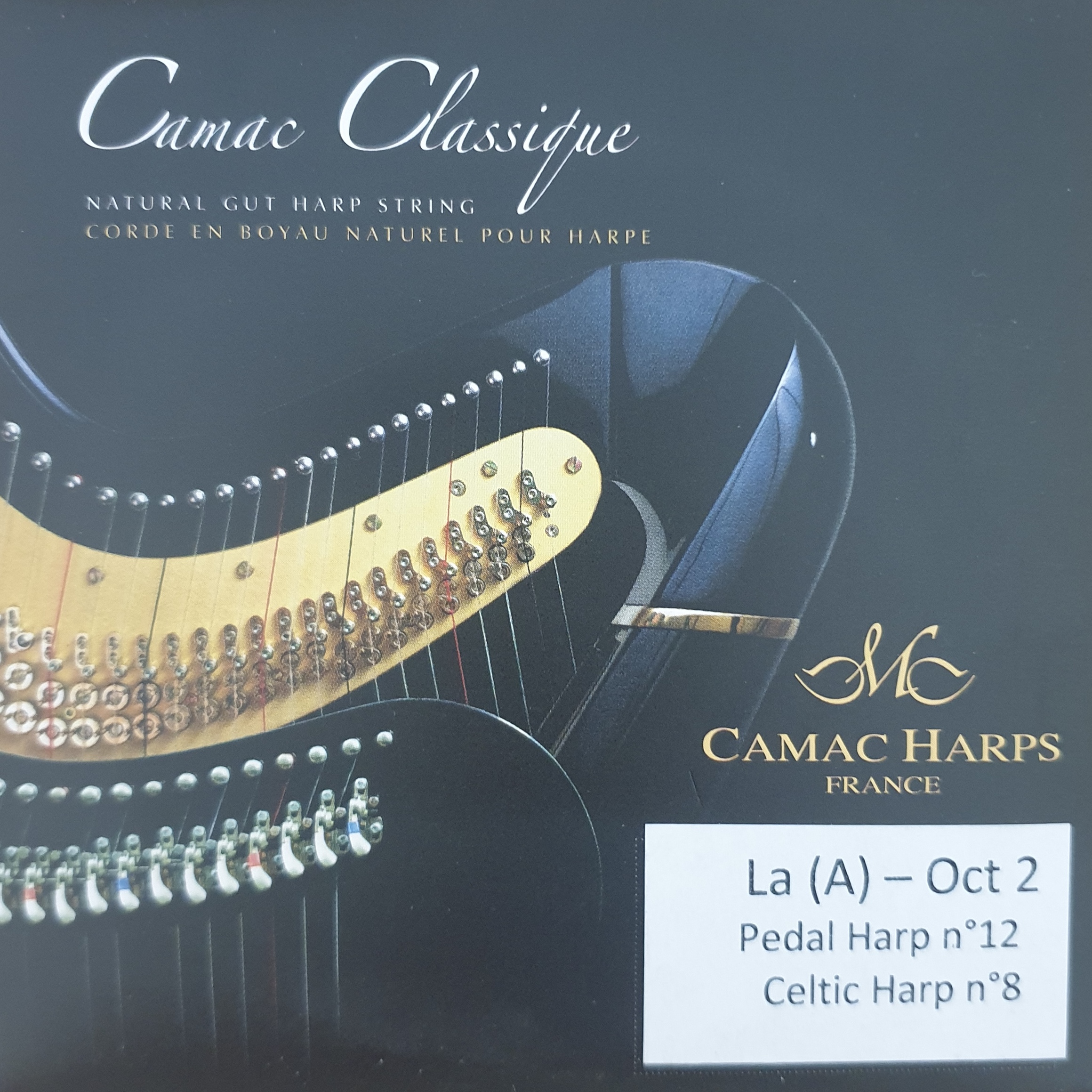 Camac-pedal-Gut-2A CAMAC Pedal Gut 2A