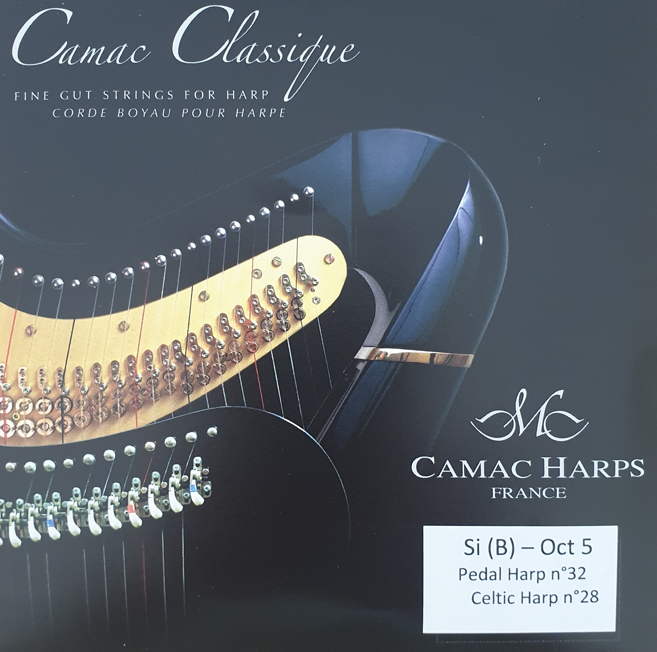 Camac-pedal-Gut-5B CAMAC Pedal Gut 5B