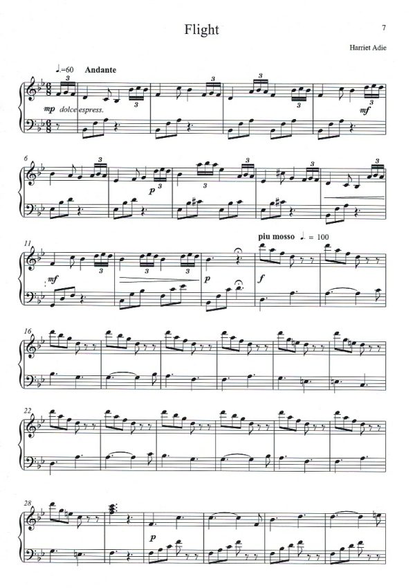 Lever Harp World Gough D./ Perrett D.