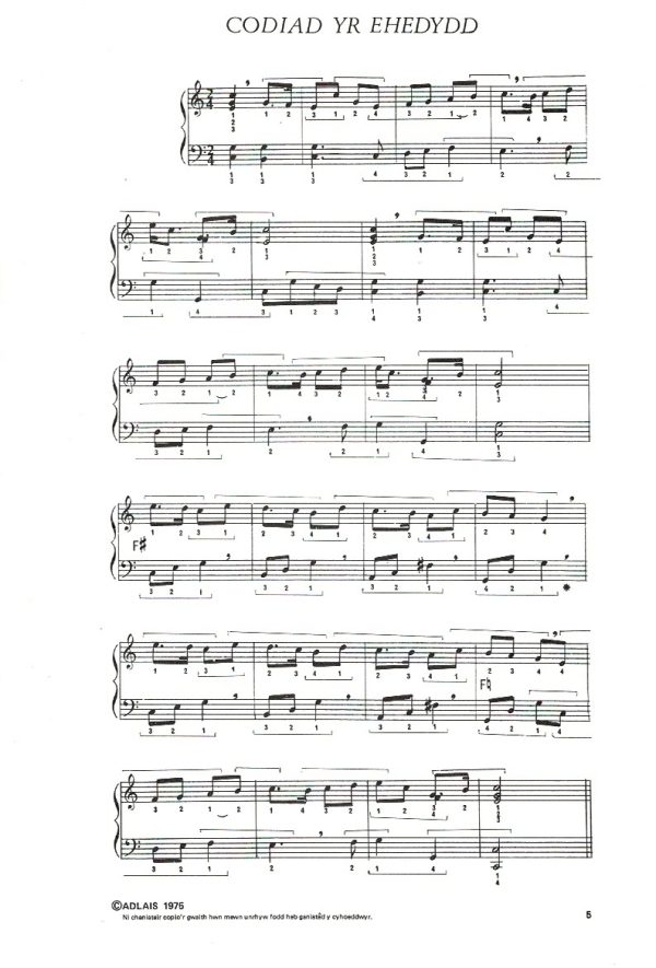 Telyn Y Werin Heulyn M.