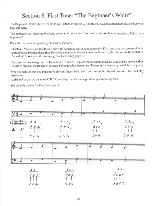 Basic Harp For Beginners Riley L.