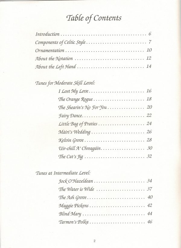 Celtic Music For Folk Harp Riley L./McMichael L.