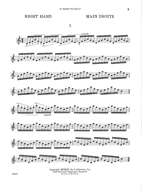 Conditioning Exercises Salzedo C.