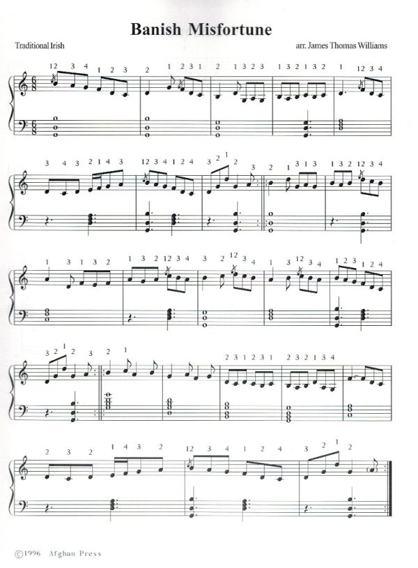 Four Celtic Pieces For Lap Harp Williams J.